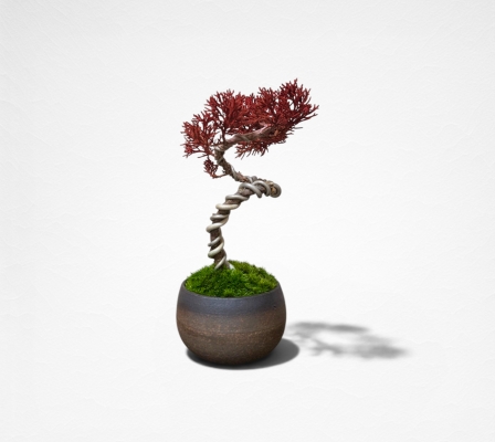 Product image4