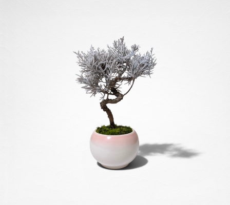 Product image3