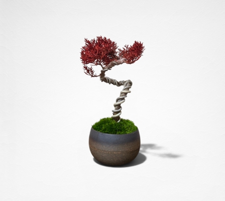 Product image3