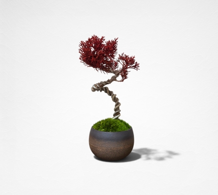 Product image2