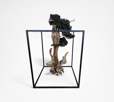 Product image4