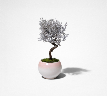 Product image2