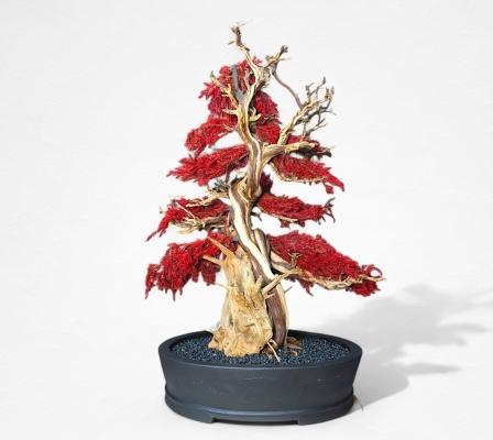 Product image3