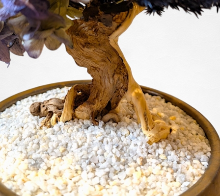 Product image5