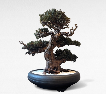 Product image3