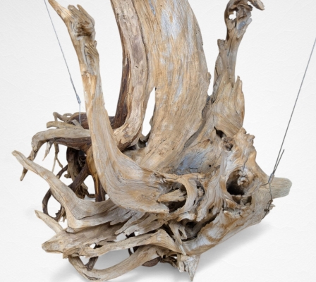 Product image5