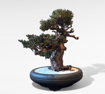 Product image2