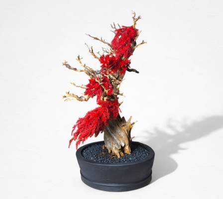 Product image2