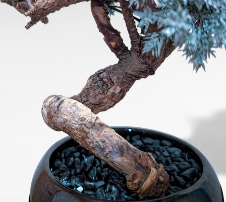 Product image5