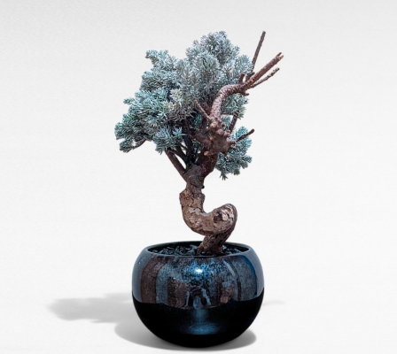 Product image4