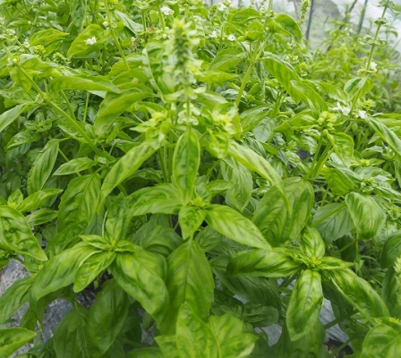 Product image2
