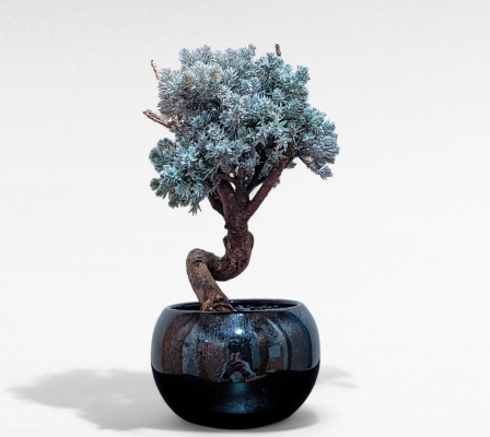 Product image2