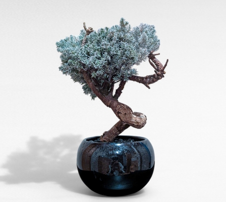 Product image3