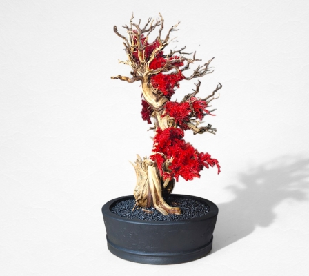 Product image4