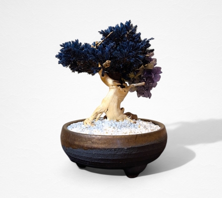 Product image3