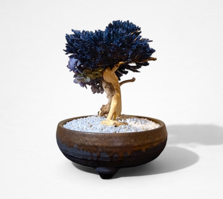 Product image2